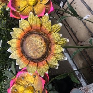 Meet your Posher, Betty